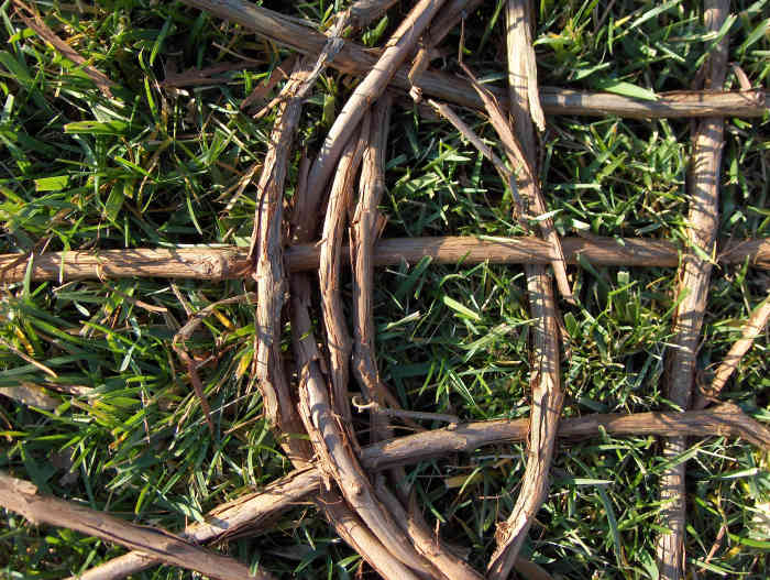 How to Make a Grapevine Basket Photo Guide