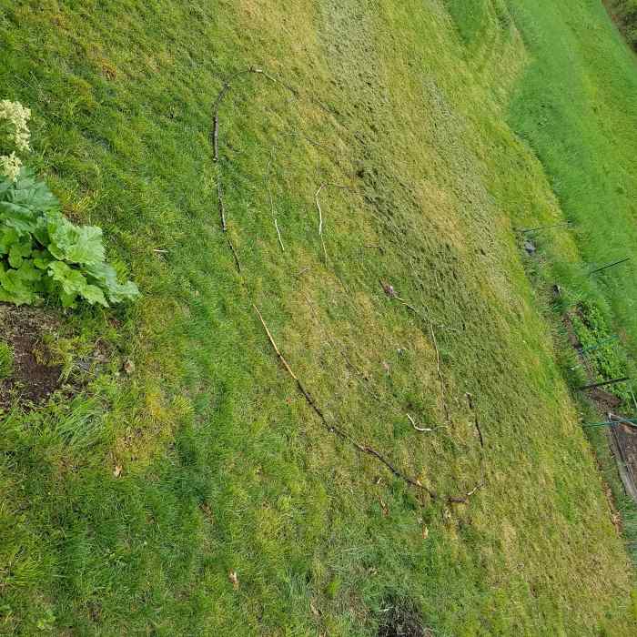 How to Create a Backyard Labyrinth One Step at a Time - Dengarden