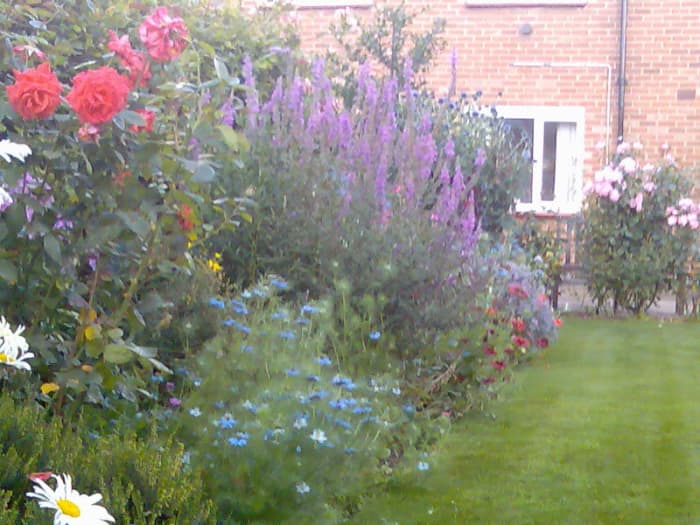 A mixed border of shrubs, perennial, and annual plants. There is a lawn in my father's garden, though this is not a traditional component of a cottage garden
