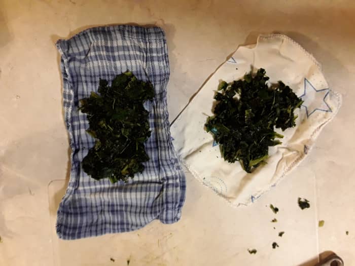 Two poultices ready to freeze or use. I did a double batch and had one ready first thing the following morning.