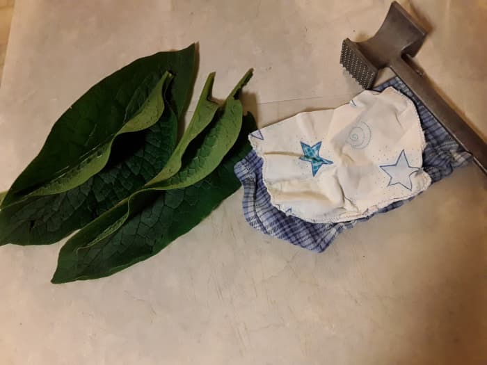 This poultice is so simple. Just comfrey, a rag, and something to hold it on. If desired you can use a long strip for the rag and tie it on with that. This is for a double batch.