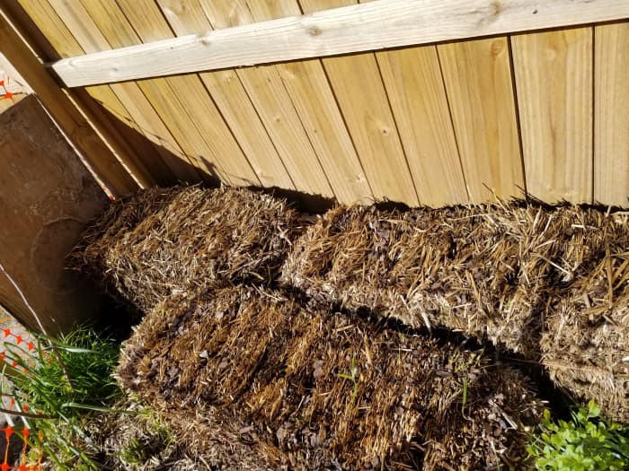 These are the hay bales I set up in my garden. I used them like containers, almost doubling my garden space!