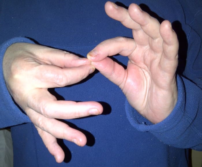 When the right handshape goes up and down against the left handshape, the sign for "interpret" is formed.