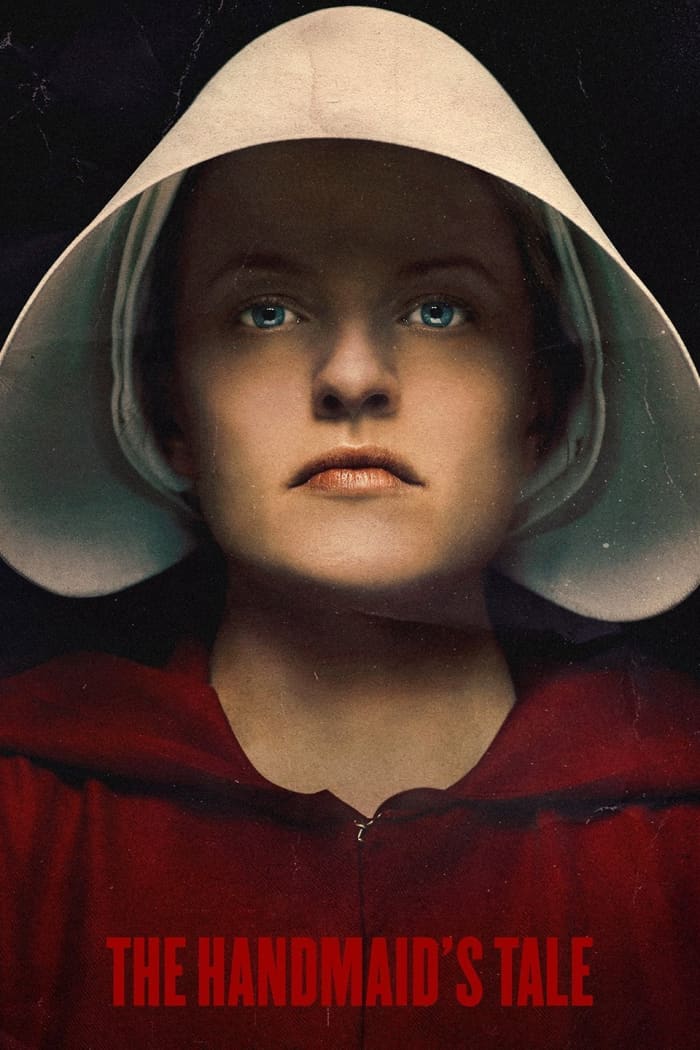 shows like the handmaid's tale on netflix