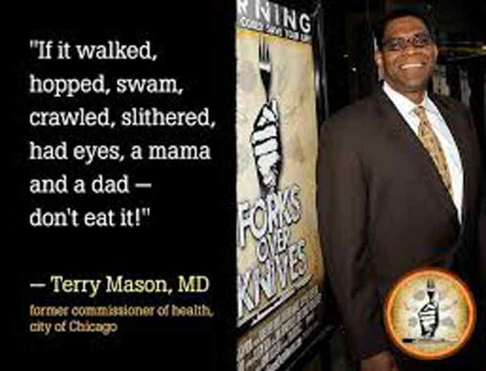 Prevent and Cure our Epidemic Diseases "Forks Over Knives" HubPages