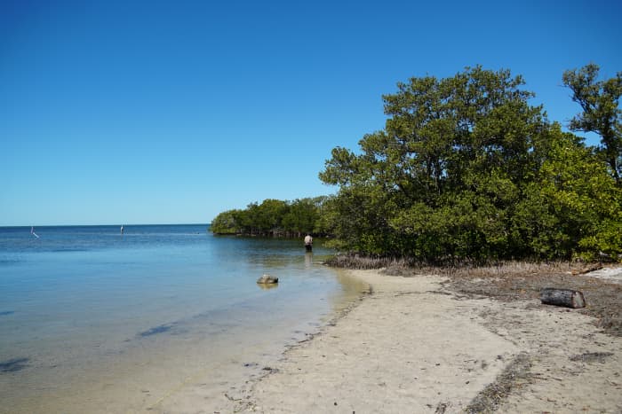 Visiting Key Vista Nature Park: Holiday, Florida - WanderWisdom