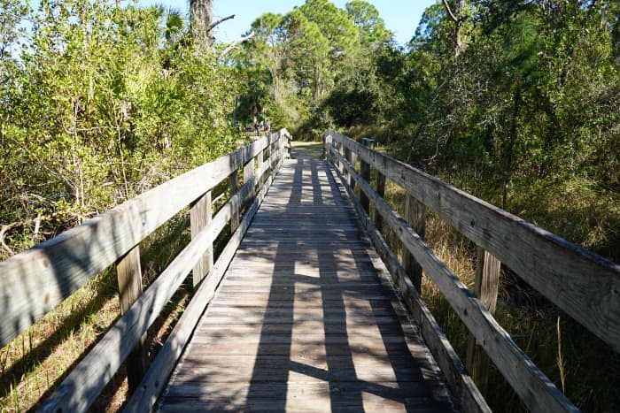 Visiting Key Vista Nature Park: Holiday, Florida - WanderWisdom