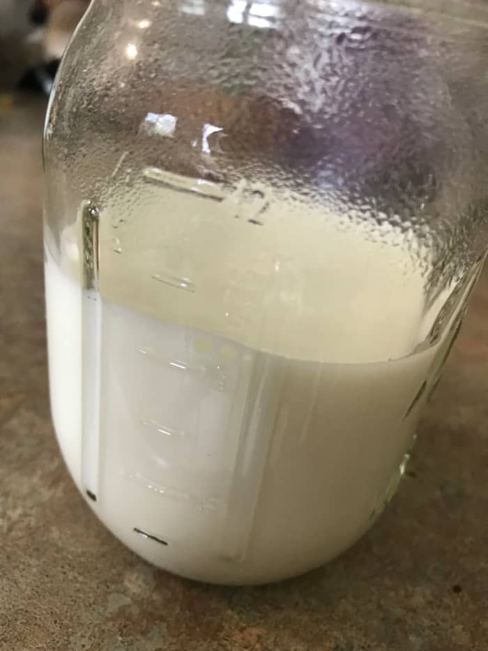 I can - and have - used lower fat milk in this recipe, but the results just aren't quite the same. The bit of extra fat adds the right body and texture to the finished cake.