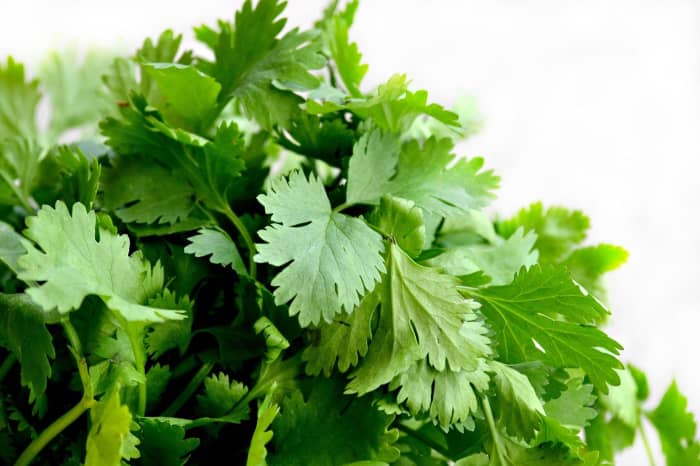 This article will provide information about the names of different types of vegetables in the Polish language.