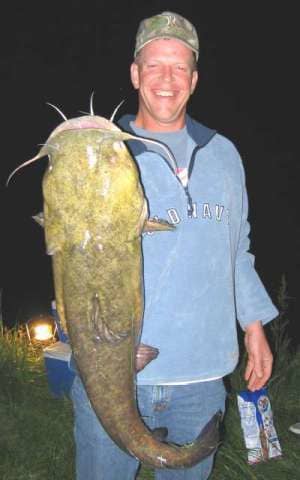You can catch some really big catfish in farm ponds. The catfish in this photo was caught in a farm pond.