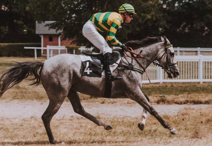 Horses have been bred to possess both speed and endurance and have an average gallop speed of 25 to 30 mph.