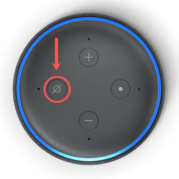 Is Alexa Spying? Check Your Amazon Echo Privacy Settings! TurboFuture