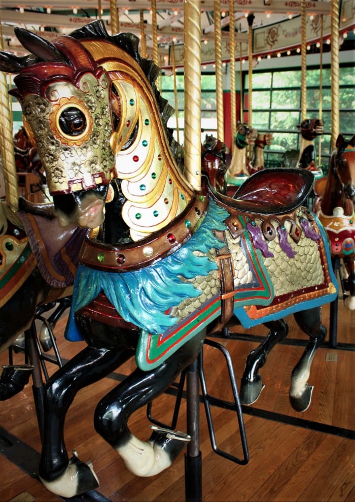 My horse, my old friend. This is the horse that was my favorite to ride years ago.