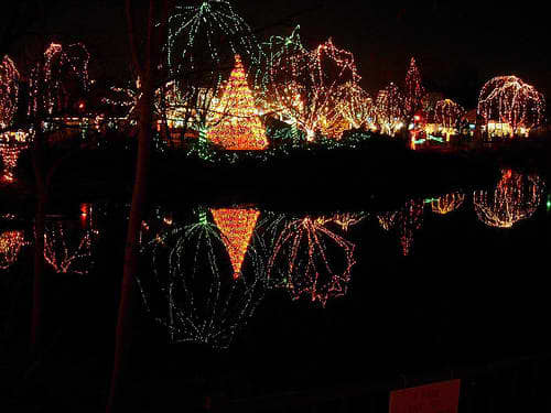 Winter Holidays at Wild Lights With the Columbus Zoo - HubPages