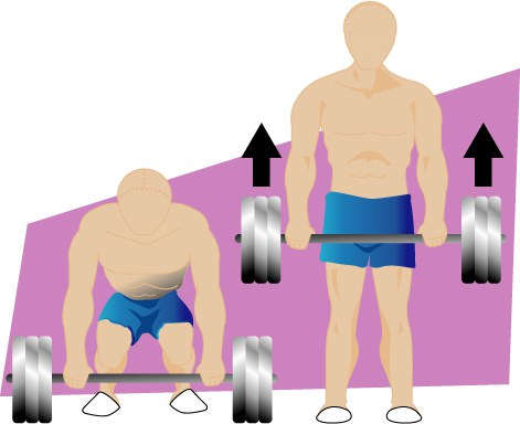 Deadlift Using a Barbell
