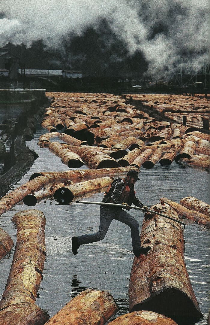 "Instead of deforesting new land, we can use land already deforested long ago, there’s plenty of it to plant palm oil or soy."