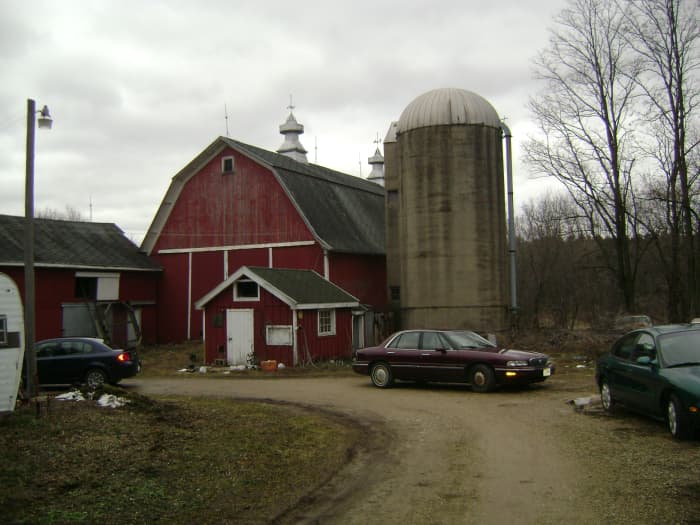 Working on a Dairy Farm in Wisconsin - LetterPile