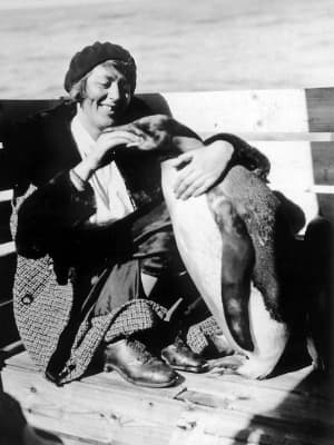 Mrs. Wegger feeds a king penguin aboard the whale factory ship Thorshavn 1930-31. A few years later the first king penguins were taken to Norway.