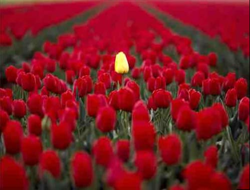 The proper type of walking can cause an individual to stand out and get noticed favorably.
