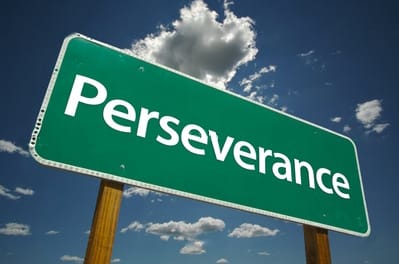 The law of "Perseverance" and the habit of "Synergize" create the sixth vital step that leads to success.