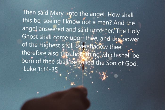 The Holy Ghost shall come upon thee, and the power of the Highest shall overshadow thee: therefore also that holy thing which shall be born of thee shall be called the Son of God.