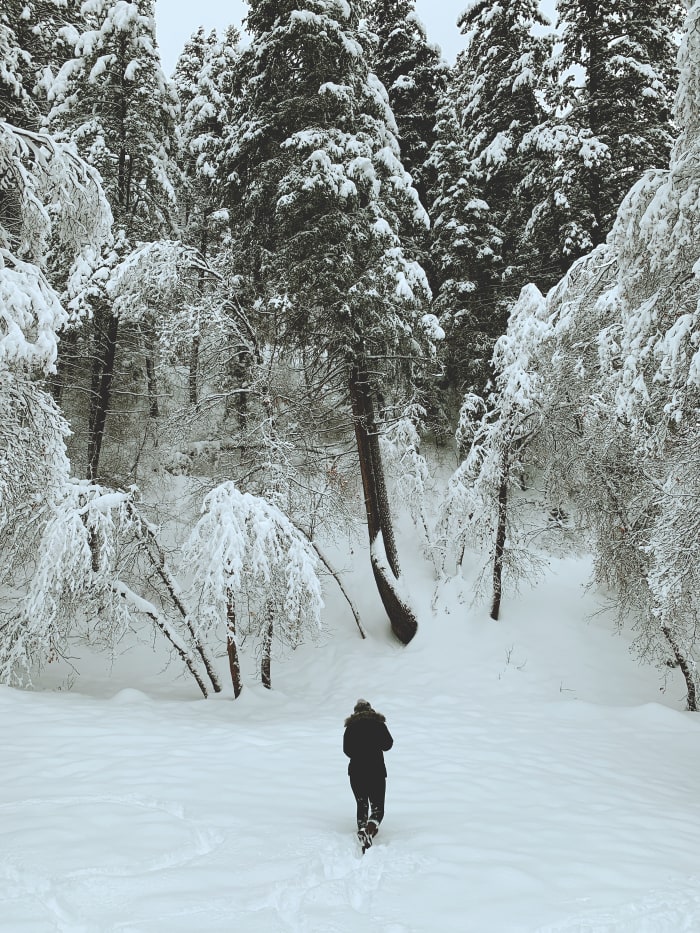 Utah has the best snow on earth. The canyon is covered with powdery and white snow. I love to be out in the morning during this time of year.