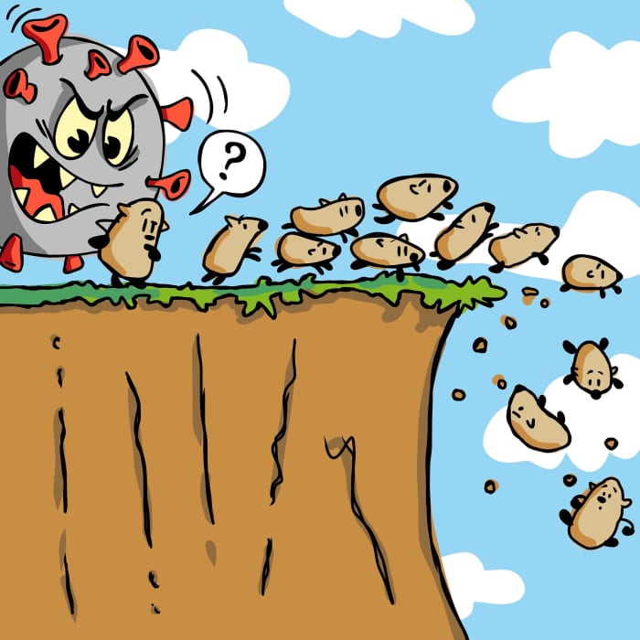 Lemings don't actually jump off cliffs like this, yet some humans seem to want to. Why is that?