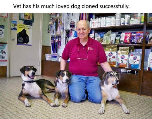Phillip had Melvin cloned about two years ago, and he now has two identical dogs – Ken Gordon, named after his uncle, and Henry Fontenot, named after his friend – with the same traits and characteristics as Melvin.