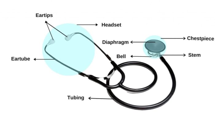 The Stethoscope - HubPages