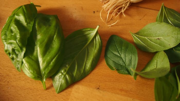 The flavor of fresh basil is far superior to the dried kind you buy off the shelf. Fresh basil sends me into a fit of ecstasy.