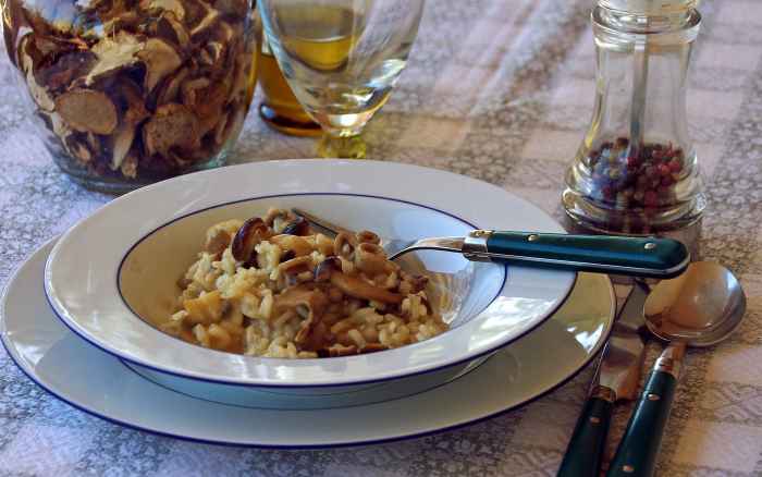 Mixed mushroom risotto