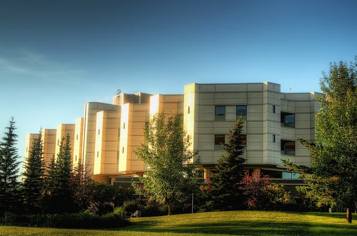 There are many kinds of Real Estate Investment Trusts, or REITS, which own everything from hospitals and doctor's offices to apartments and shopping malls.