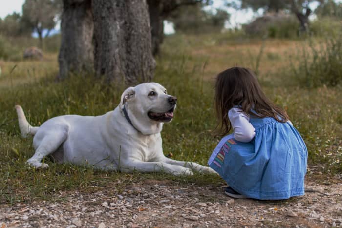 Kids can interact with nature in various ways, even from home. Caring for an animal—whether it's a dog or an ant!—is a great learning experience.