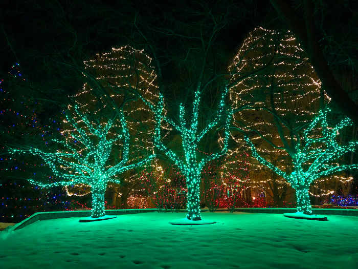 A Driving Tour of Holiday Lights in South Metro Denver Littleton