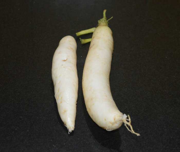 Radish