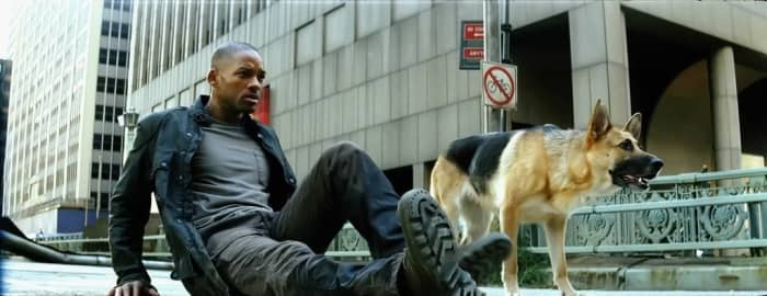 Should I Watch I Am Legend 2007 Hubpages