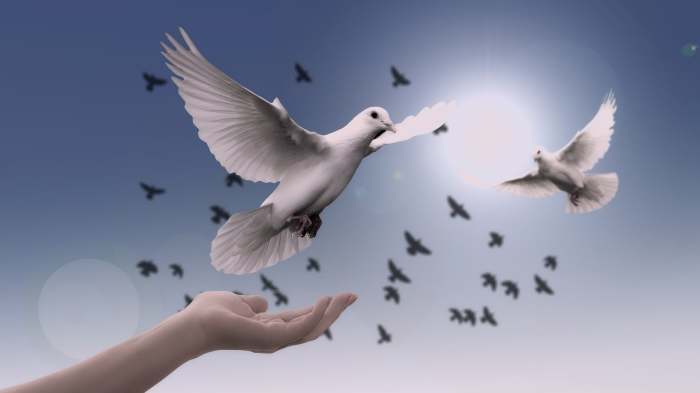 Peace May Seem Like an Unattainable Goal, but It's Never Too Late to Change Our Collective Mind and Give It a Chance.
