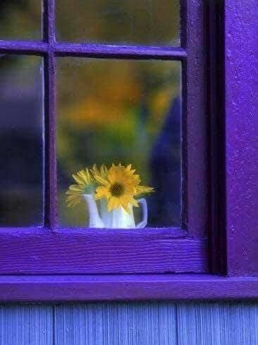 Your desires may be hidden behind curtains and dust, but they are most certainly present. Wipe off the windows of your heart, force the door if you must, and find out what dreams you forgot about.