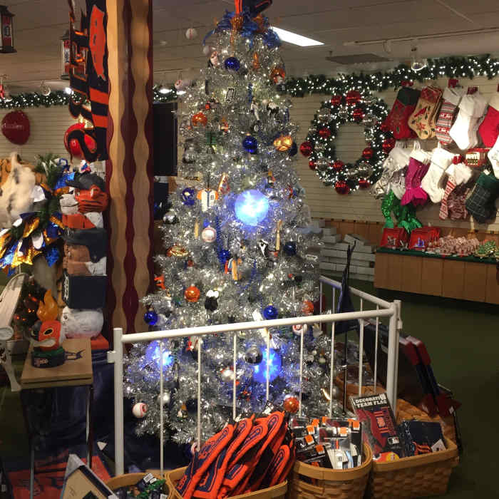 The fact that my wife agreed to travel to this weird/wild place ... For most of our marriage, the main argument has been over when to take the tree down.