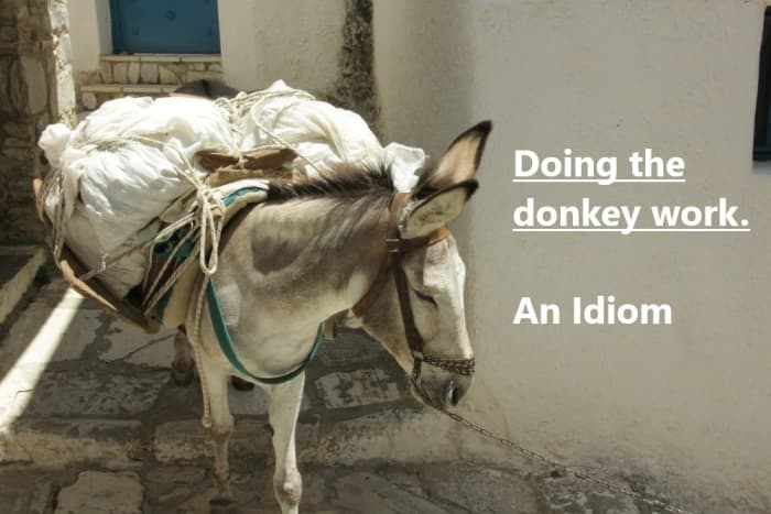 For hundreds of years, people have taken advantage of the donkey's strength and durability to carry heavy, burdensome loads. A practice, thankfully, that is becoming less acceptable to society.