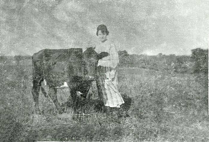 The cornmeal and potato muffins in the recipe below call for milk. Many families had their own cow at that time so the milk would have been their own.