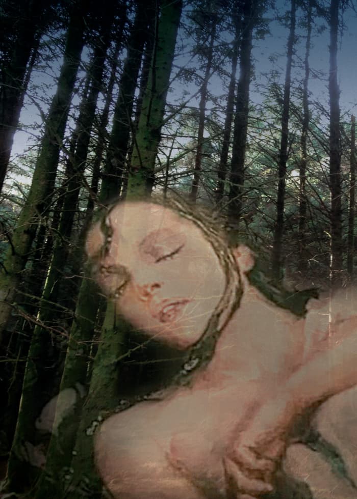From an announcement for Dovark's Rusalka. Originally published by czechschoolchicago.org