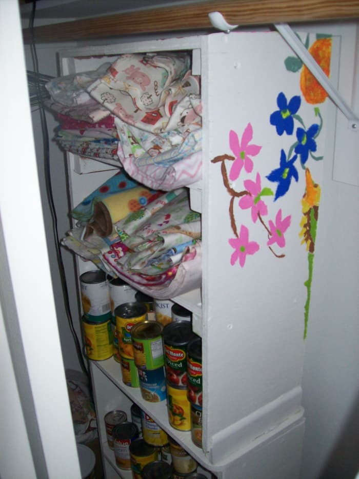 A discarded pantry with broken shelves. Cost to repair: $1 for acrylic paint already purchased, repurposed shelves for replacement, 20 sheet rock screws, $1.00. Adventure? Priceless.