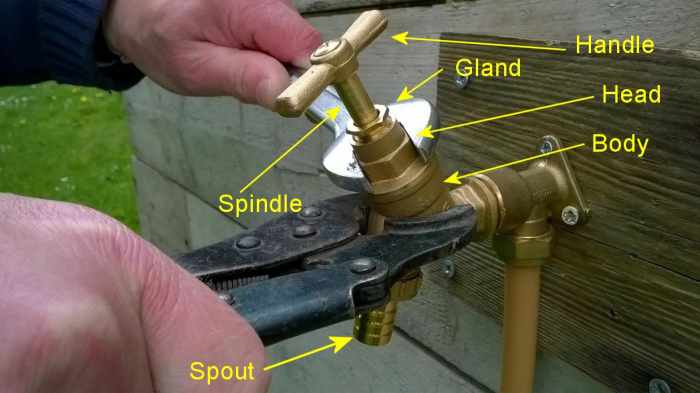 Remove the head. Ideally you should hold the body also to restrain it, 
