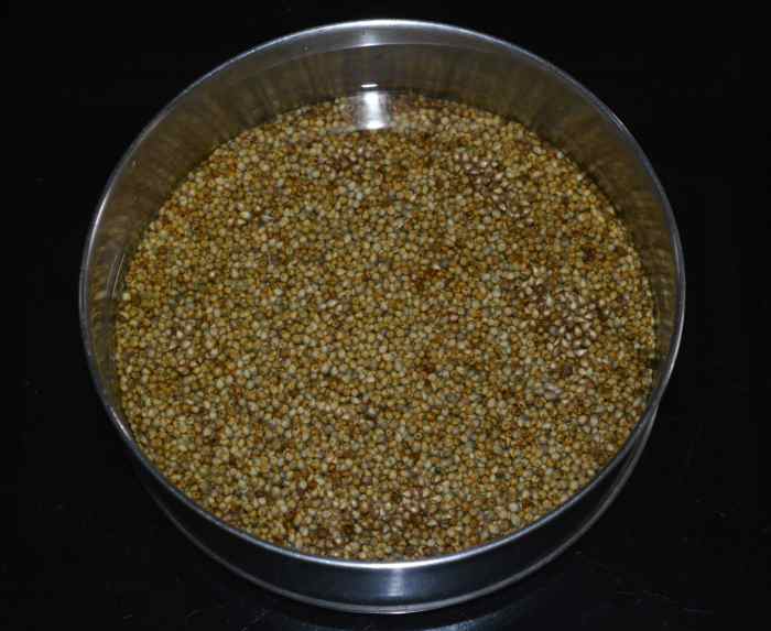 Soaked bajra (pearl millet)