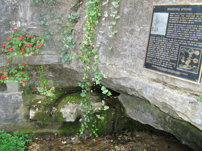 Harding Spring in Eureka Springs, Arkansas. Originally claimed to cure blindness.