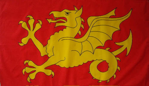 Wessex Wyvern, Harold's main banner. His 'Fighting Man' banner was sent as a memento to the Pontiff Alexander in Rome. It's still there.