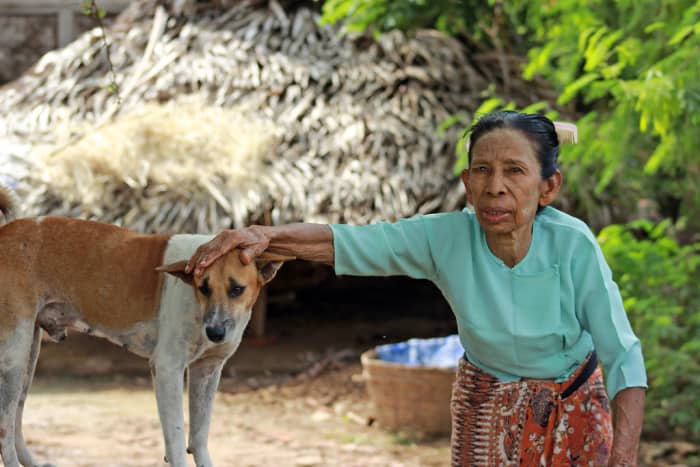 Many modern dog breeds are only about 200 years old.
