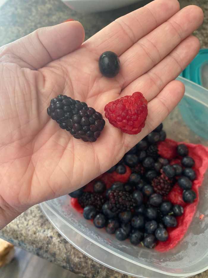 How to Really Clean Your Berries and Keep Them Fresh Longer Delishably