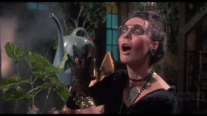 Who my friends think I'm becoming*. Only partially untrue. Houseplants are still super good for you, though.
